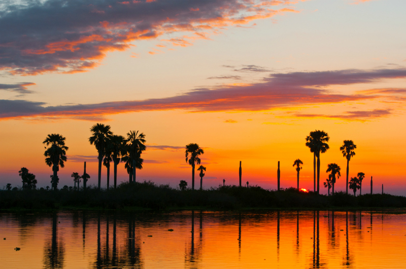 Sunset on Lake Manze in Selous Game Reserve, Tanzania (Shutterstock)