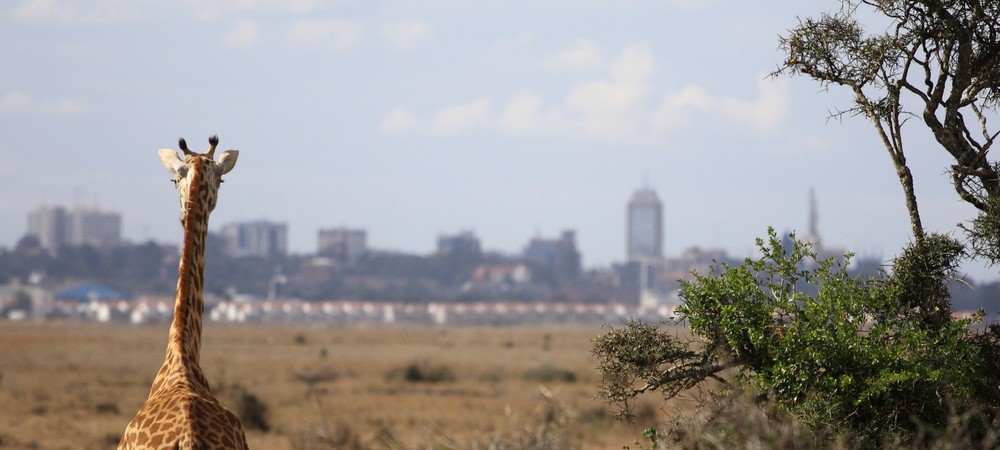 Nairobi National Park
