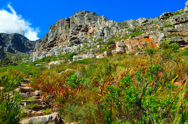 Hiking trail on Table Mountain (Shutterstock)
