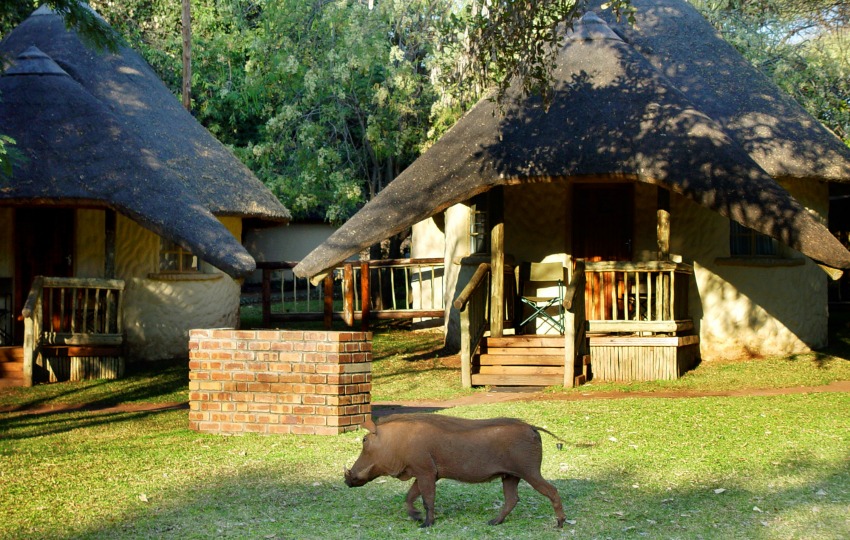 Chobe Safari Lodge (courtesy of Chobe Safari Lodge)