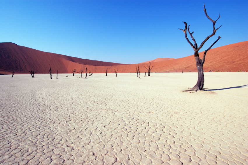 Deadvlei, Namibian desert (Shutterstock)