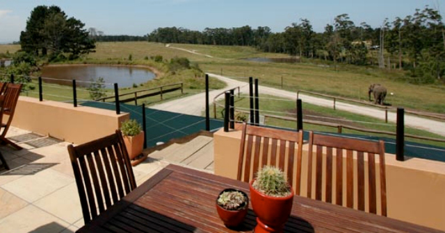 knysna elephant park