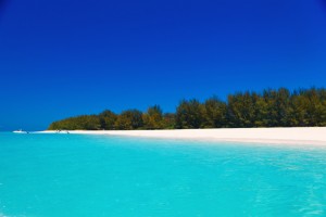 Mnemba Island, Zanzibar (Shutterstock)