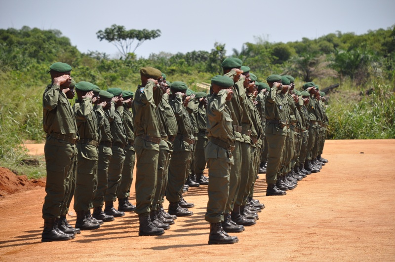 DRC Army (US Army Africa / flickr)
