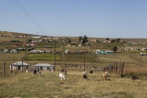 qunu village
