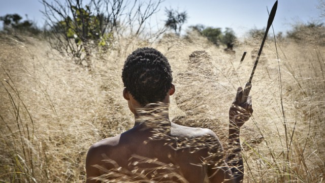 10 Things to Know About Traveling in Botswana