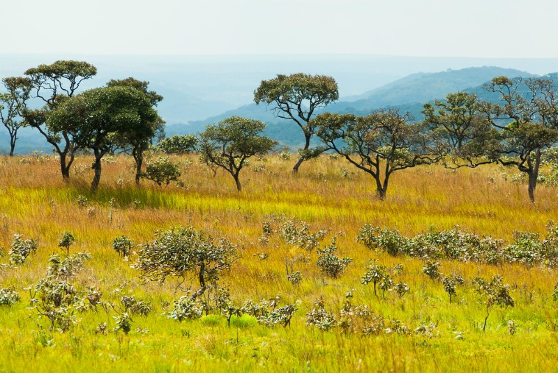 Upemba National Park, DRC (Shutterstock)