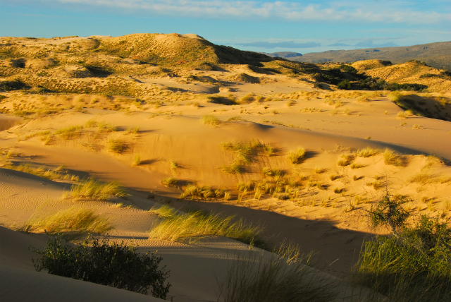 A dune in Witsand (Shutterstock)