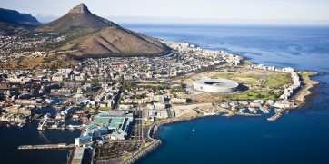 cape town lions head