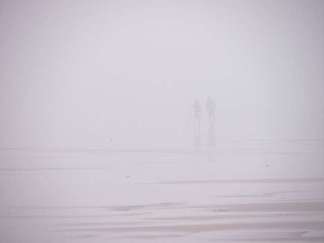 Fog Beach