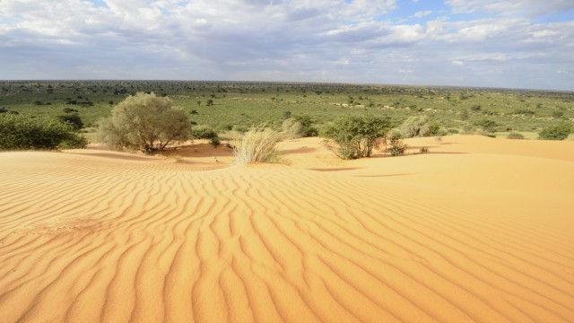kalahari desert