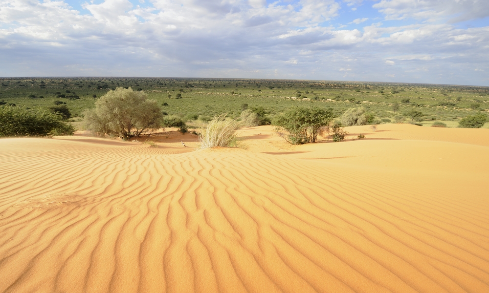 Kalahari Desert Location On Africa Map