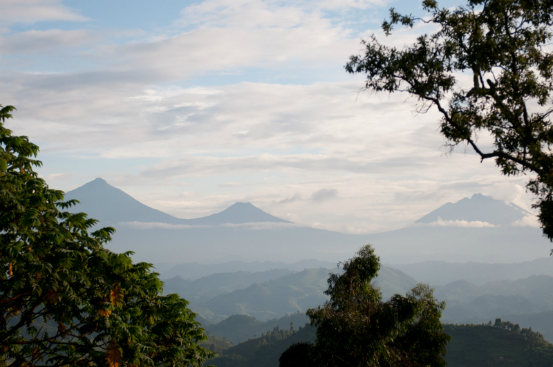 The Virunga volcanoes, Rwanda (Shutterstock)