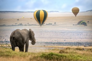 chinese tourism in east africa