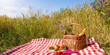 picnic in durban