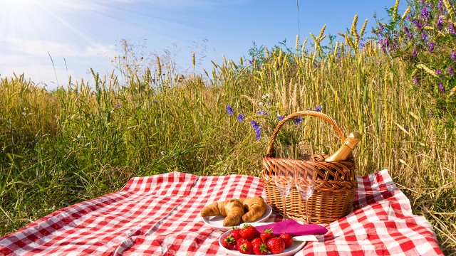 picnic in durban