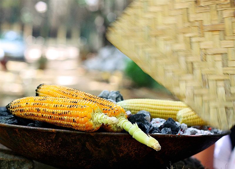 Spicy Roasted Maize on the cob (Pp391 / Wikimedia Commons)