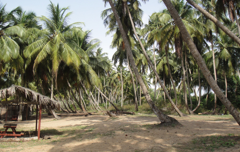 Guide To The Beaches Of Lagos AFKTravel