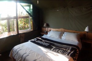 Bedroom at Teniqua Treetops (photograph by ExoTravels)