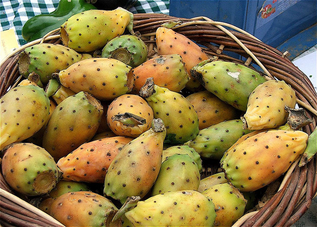 prickly pear festival