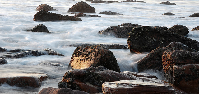 Scottburgh rock pools (Mandy Preston / Flickr)