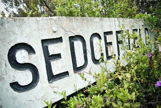 Sedgefield (W Hannabuss / Flickr)