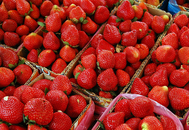 strawberry festival 