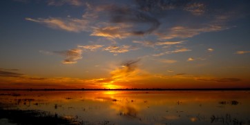 chobe national park