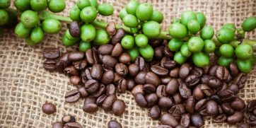 Best African Countries For Coffee