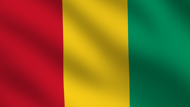 Guinea Flag 