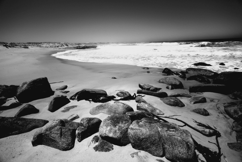 beach Namaqualand South Africa