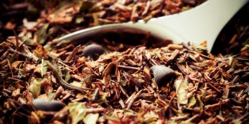 rooibos tea