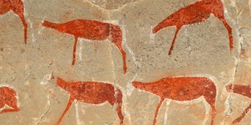 Best Places To See San Rock Art In South Africa