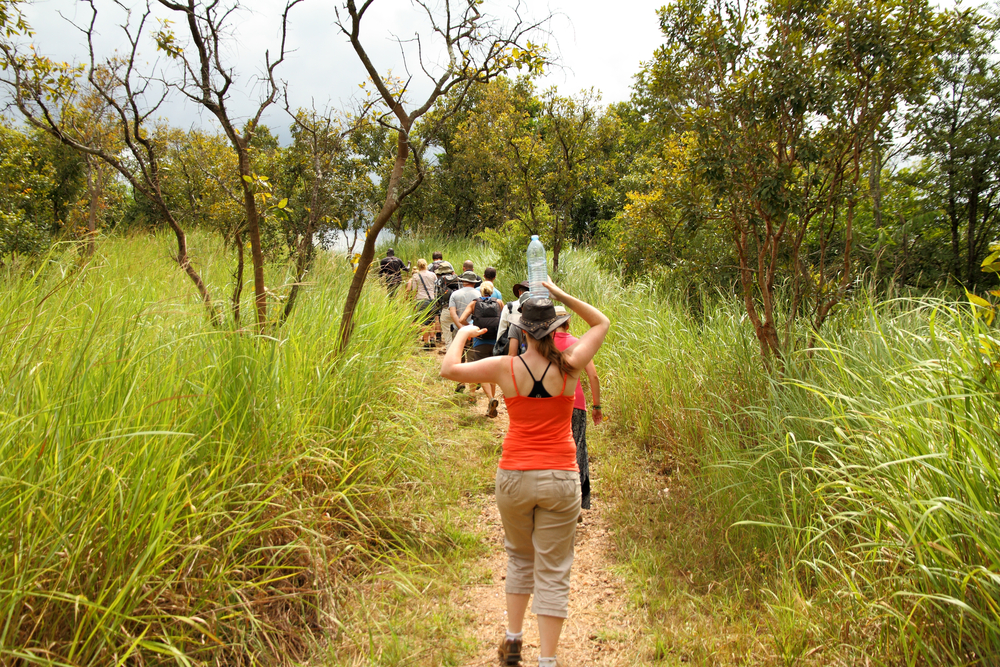 Uganda Tightens Grip On Fake Tour Guides