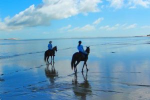 Mozambique Horse Safaris