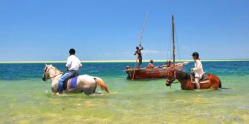 Mozambique Horse Safari