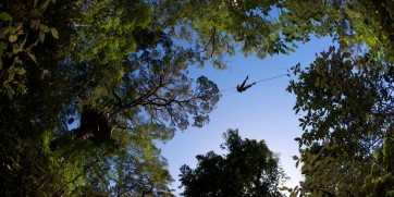 tsitsikamma zipline