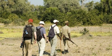 walking safari luangwa