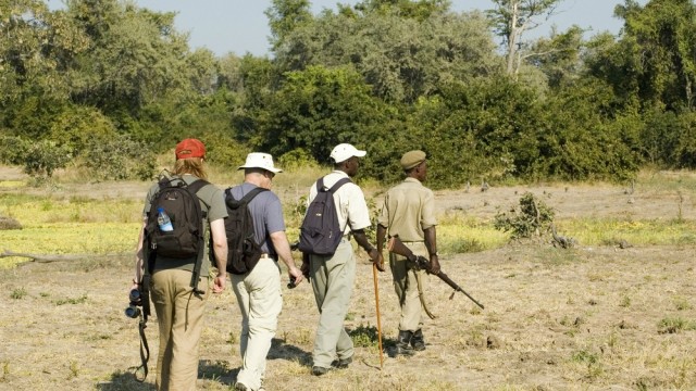 walking safari luangwa