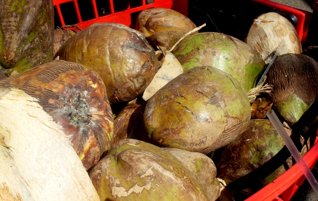 Coconuts in Fordsburg (Bridget Williamson)