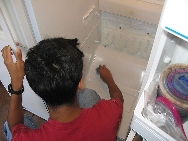 clean your fridge day 