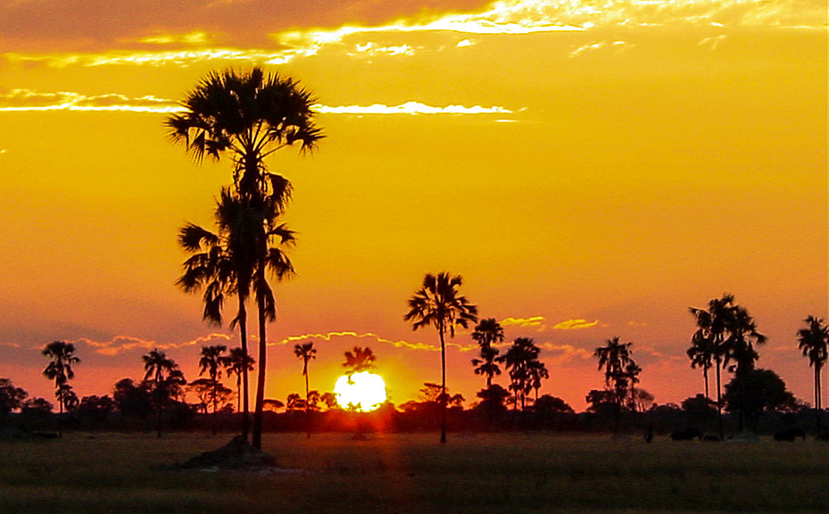 Photo Of The Day: Sunset In Hwange