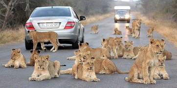 Kruger National Park