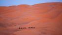Camel trekking in Erg Chebbi, Morocco. Photo: Shutterstock