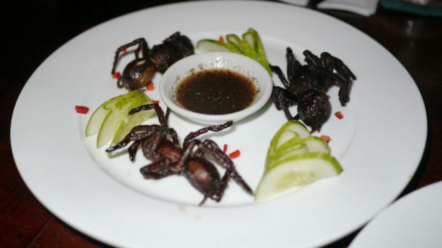 15 Insects Humans Eat Around The World