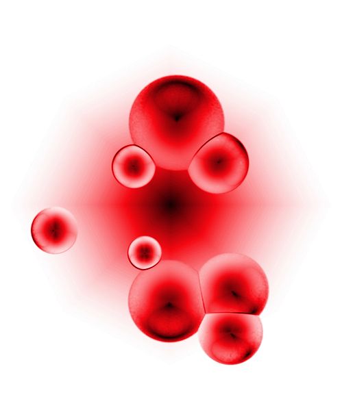 Blood Cells (Gruff15/ Wikimedia Commons)