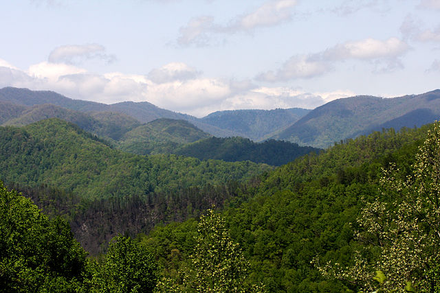 Blue Ride Parkway (KD Roberts/Wikimedia Commons)