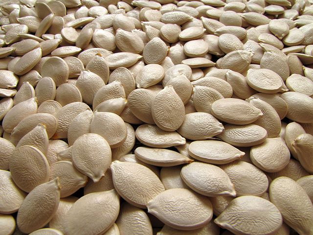 Pumpkin Seeds (Sei/Wikimedia Commons)