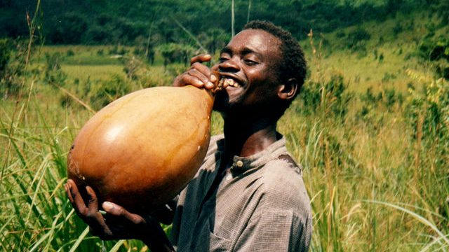 Distilling the Facts: 15 of Africa's Best Home Made Brews