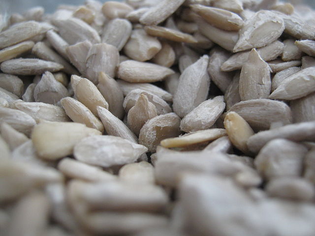 Sunflower Seeds (GerFes/Wikimedia Commons)